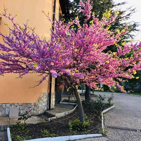 Apartment Holiday Ecostar1 *